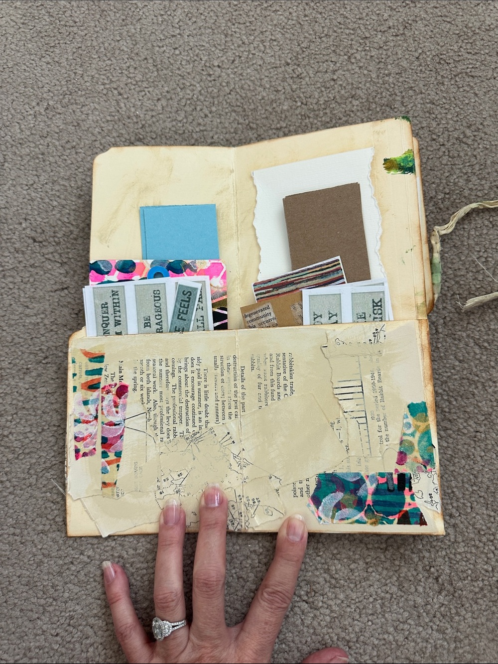 Ephemera keeper - Picture 2 of 7